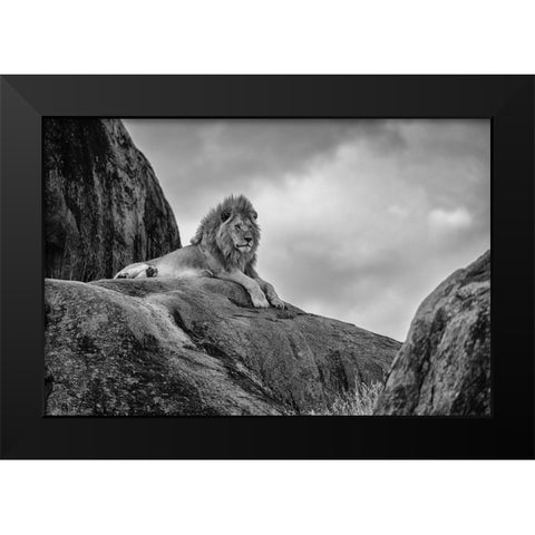 The King! Black Modern Wood Framed Art Print by Khataw, Ali