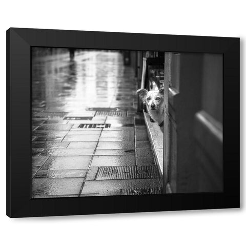 Rain Black Modern Wood Framed Art Print with Double Matting by Alviani, Montserrat