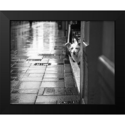 Rain Black Modern Wood Framed Art Print by Alviani, Montserrat