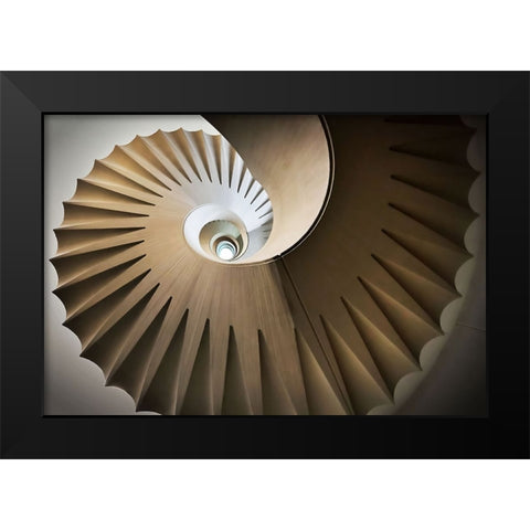 Looking Up Black Modern Wood Framed Art Print by Reichert, Renate