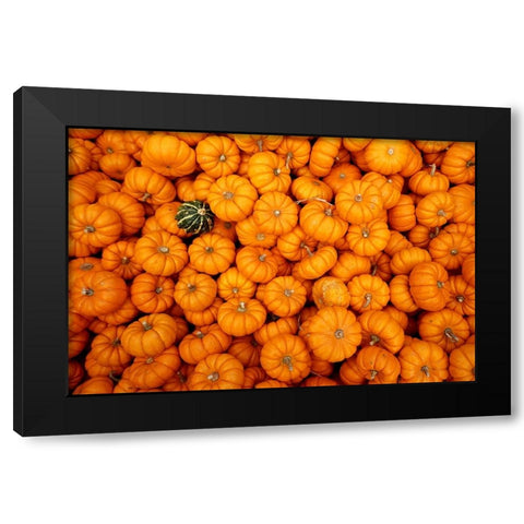 Dare to be Different Black Modern Wood Framed Art Print with Double Matting by Ungvari, Rose