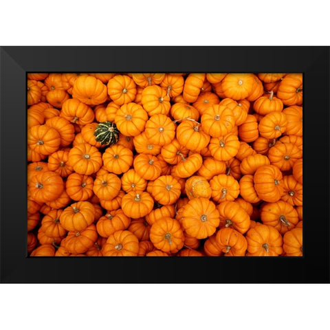 Dare to be Different Black Modern Wood Framed Art Print by Ungvari, Rose
