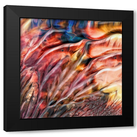 Flamingos Black Modern Wood Framed Art Print with Double Matting by Westum, Heidi