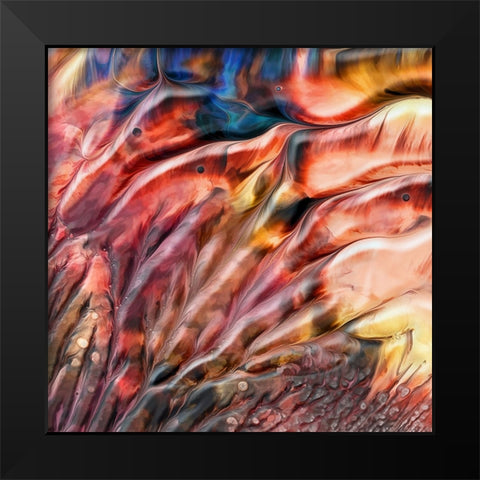 Flamingos Black Modern Wood Framed Art Print by Westum, Heidi
