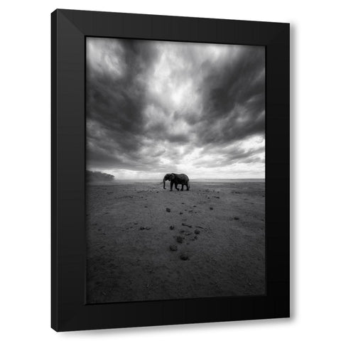 Amboseli Black Modern Wood Framed Art Print by Swapnil