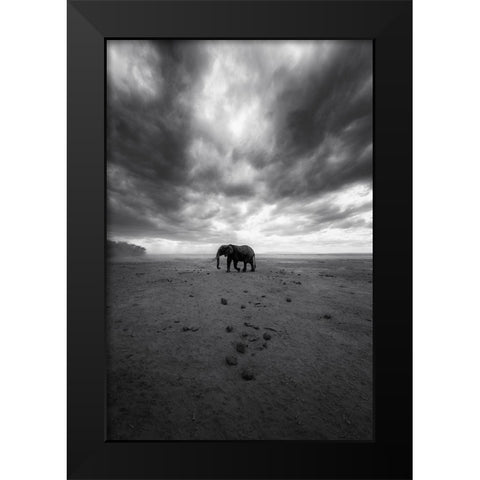 Amboseli Black Modern Wood Framed Art Print by Swapnil