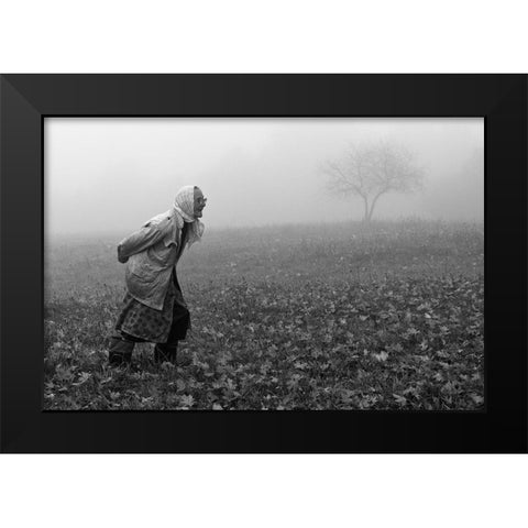 Autumn Black Modern Wood Framed Art Print by Kruk, Przemyslaw