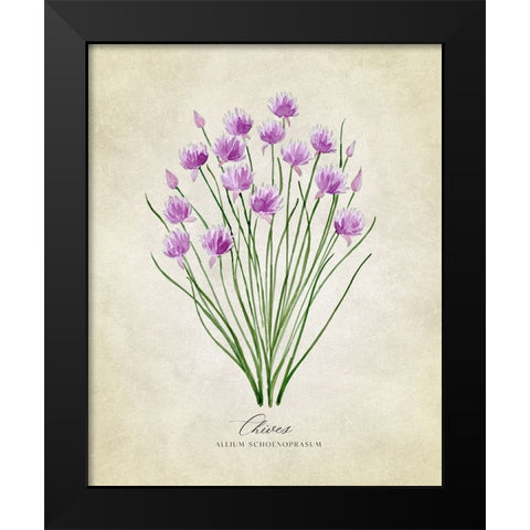 Chives vintage Black Modern Wood Framed Art Print by Laiz Blursbyai, Rosana