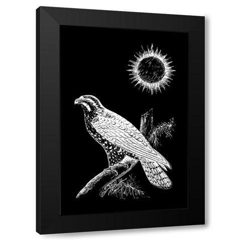 Falcon Peregrine Black Modern Wood Framed Art Print with Double Matting by Abdel Aal, Hussein
