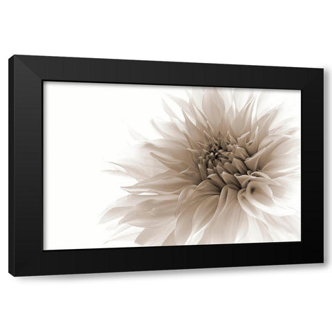 Dignified Black Modern Wood Framed Art Print by Wettstein, Priska