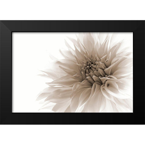 Dignified Black Modern Wood Framed Art Print by Wettstein, Priska