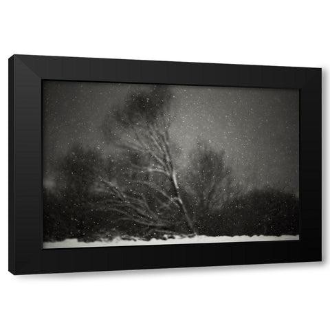 Winter Black Modern Wood Framed Art Print with Double Matting by PhotoCosma