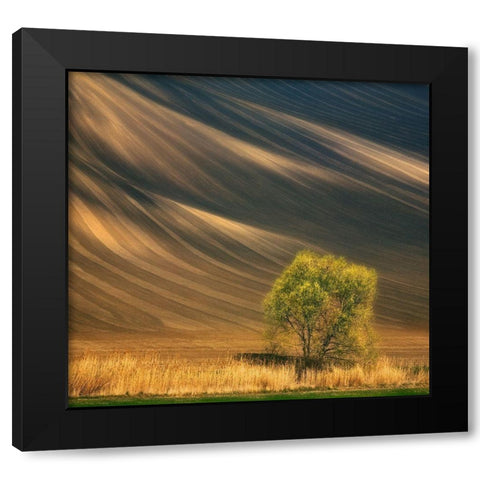 Tree... Black Modern Wood Framed Art Print by Browko, Krzysztof