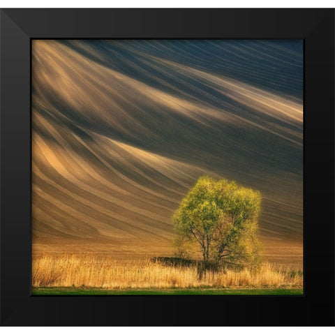 Tree... Black Modern Wood Framed Art Print by Browko, Krzysztof