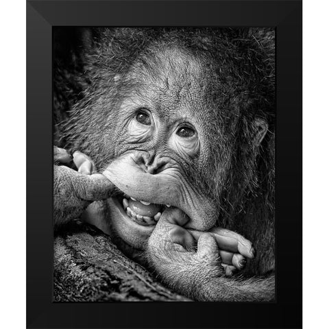 Big Smile.....Please Black Modern Wood Framed Art Print by Muliani Hartojo, Angela