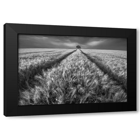 Alone Black Modern Wood Framed Art Print by Krol, Piotr