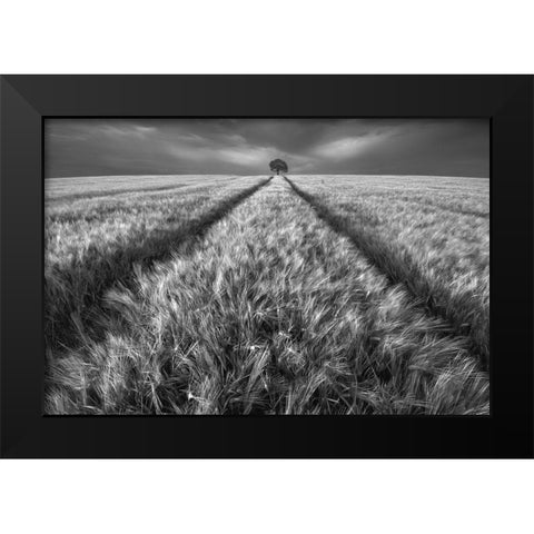 Alone Black Modern Wood Framed Art Print by Krol, Piotr