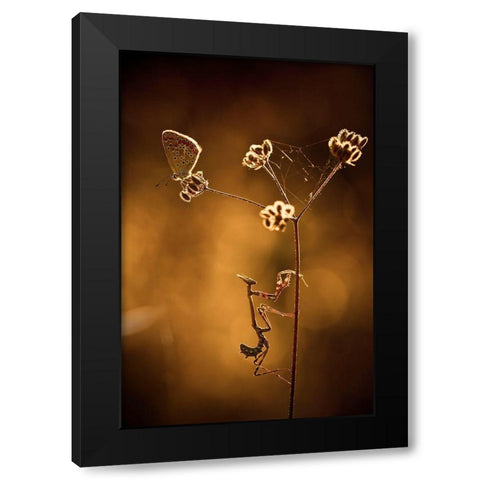 All I Want Is You Black Modern Wood Framed Art Print by Bravin, Fabien