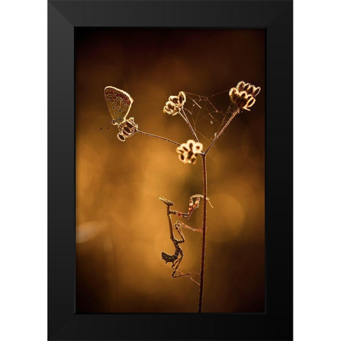 All I Want Is You Black Modern Wood Framed Art Print by Bravin, Fabien