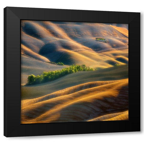 Fields Black Modern Wood Framed Art Print by Browko, Krzysztof