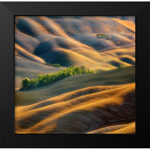 Fields Black Modern Wood Framed Art Print by Browko, Krzysztof