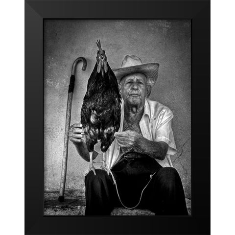The Old Man With His Figting Cock Black Modern Wood Framed Art Print by Mazalrey, Alain
