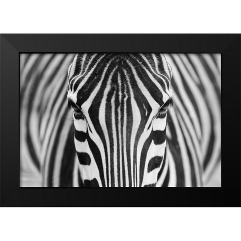 Zepra Black Modern Wood Framed Art Print by Alhumaid, Hesham