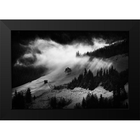 Morning Fog Black Modern Wood Framed Art Print by Bogdan, Marchevca