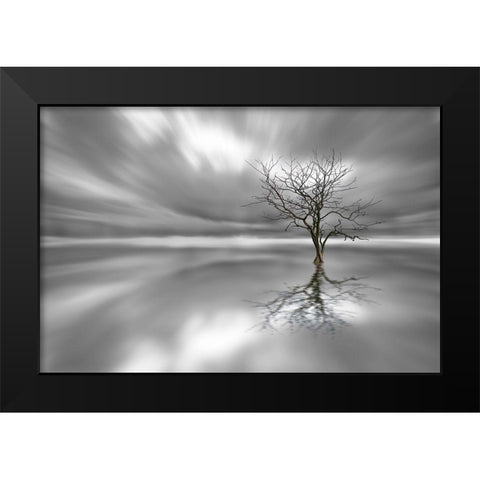 Ghost Tree Black Modern Wood Framed Art Print by Londal, Leif