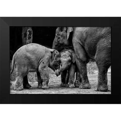 Friends Forever Black Modern Wood Framed Art Print by Rex, Ernest