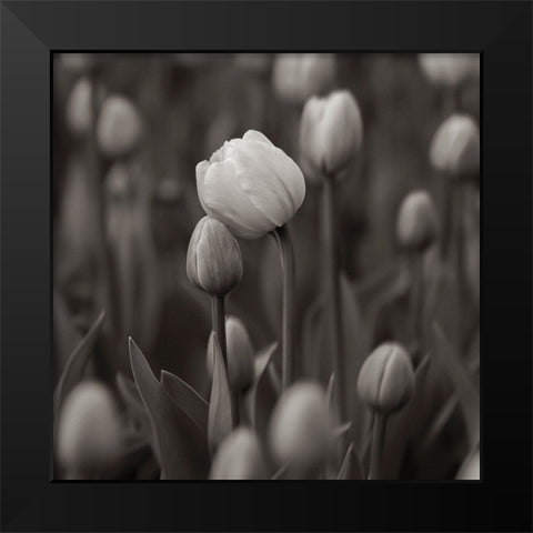 A Hug Black Modern Wood Framed Art Print by Pajic, Samir