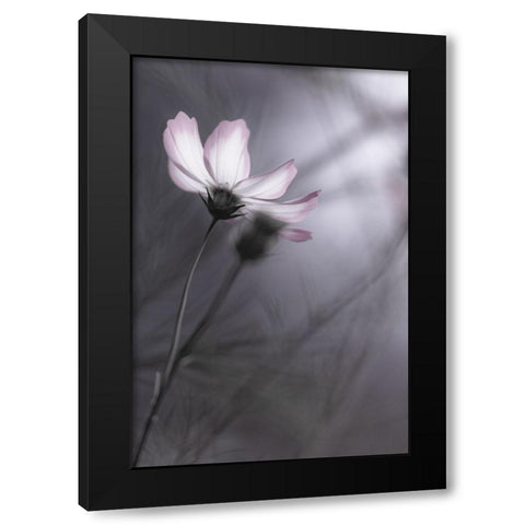 Cosmos Black Modern Wood Framed Art Print by HIDEBON