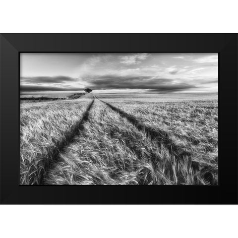 Countryside Black Modern Wood Framed Art Print by Krol, Piotr