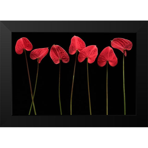 Botanical Hearts Black Modern Wood Framed Art Print by Barbu, Floriana