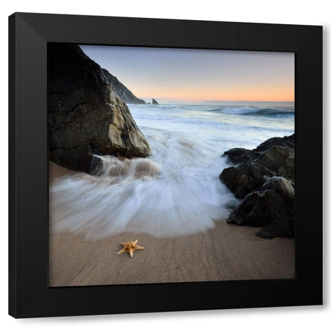 Summer Flux Black Modern Wood Framed Art Print by Dias, Paulo