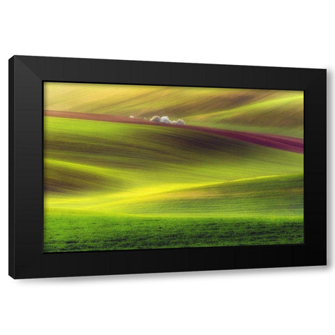 Golden Fields Black Modern Wood Framed Art Print by Krol, Piotr