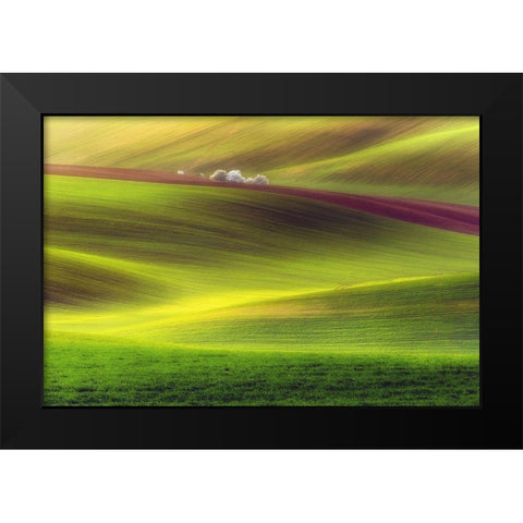 Golden Fields Black Modern Wood Framed Art Print by Krol, Piotr