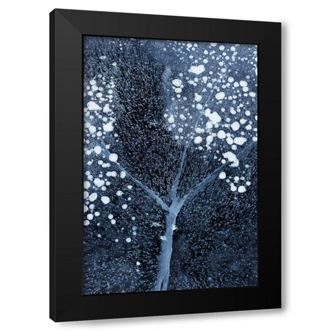 Winter Blossom Black Modern Wood Framed Art Print with Double Matting by Xu, Mei