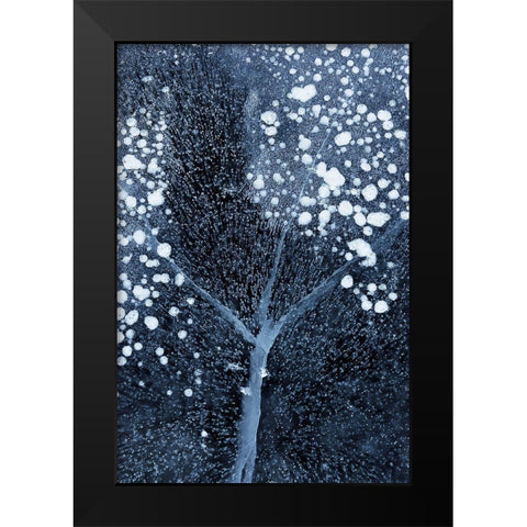Winter Blossom Black Modern Wood Framed Art Print by Xu, Mei