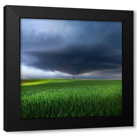 Thunderstorm Cell Over The Alb Plateau Black Modern Wood Framed Art Print with Double Matting by Schumacher, Nicolas