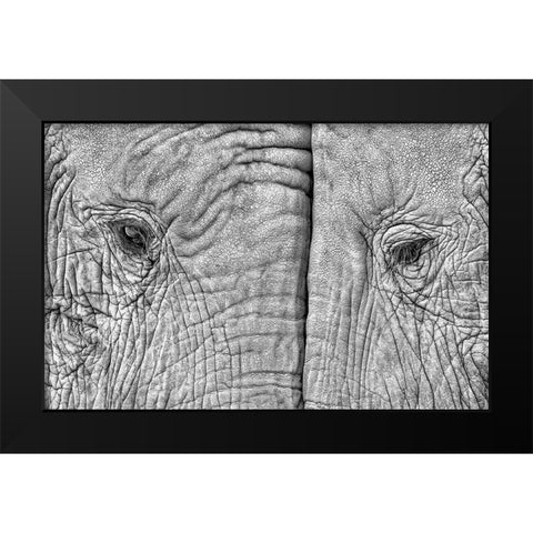 Two Elephants Black Modern Wood Framed Art Print by Luis Duran, Juan