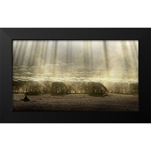 Herd Sheep In The Forest Black Modern Wood Framed Art Print by Georgiev, Deyan