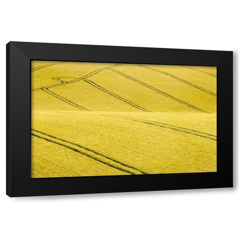 Field #2 Black Modern Wood Framed Art Print by Collie, Clive