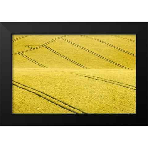 Field #2 Black Modern Wood Framed Art Print by Collie, Clive