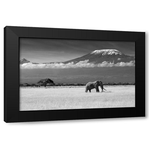 Lost Colors Ii Black Modern Wood Framed Art Print by Canakci, Ibrahim