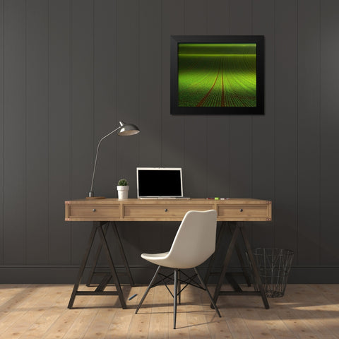 November Green Black Modern Wood Framed Art Print by Schumacher, Nicolas