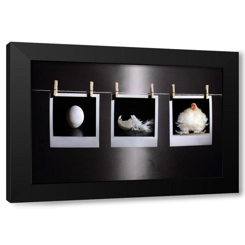 The Life Black Modern Wood Framed Art Print with Double Matting by Ivanova, Victoria