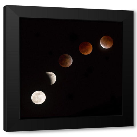 Moon At Play Black Modern Wood Framed Art Print by Ianulionoc, Vadim