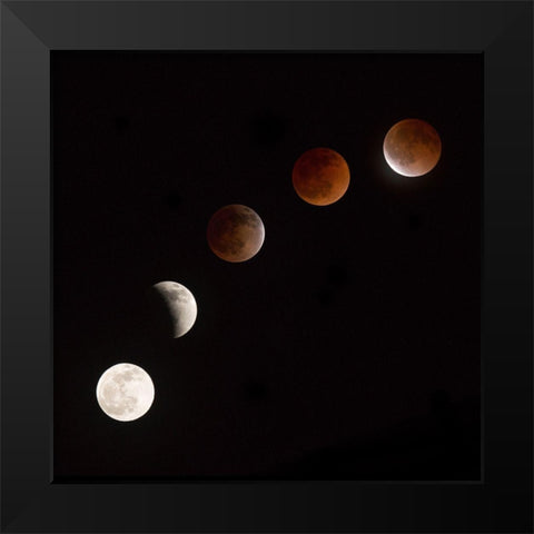 Moon At Play Black Modern Wood Framed Art Print by Ianulionoc, Vadim