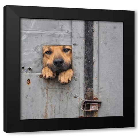 BenjiA#039;S Window Ii Black Modern Wood Framed Art Print with Double Matting by Knartist
